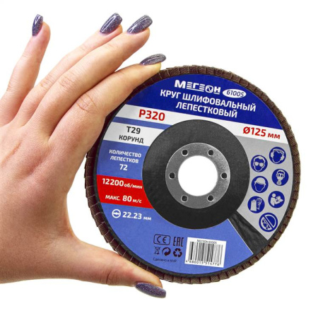 Круг шлифовальный лепестковый комплект МЕГЕОН 61005-10 купить по низкой цене | МАКСПРОФИТ